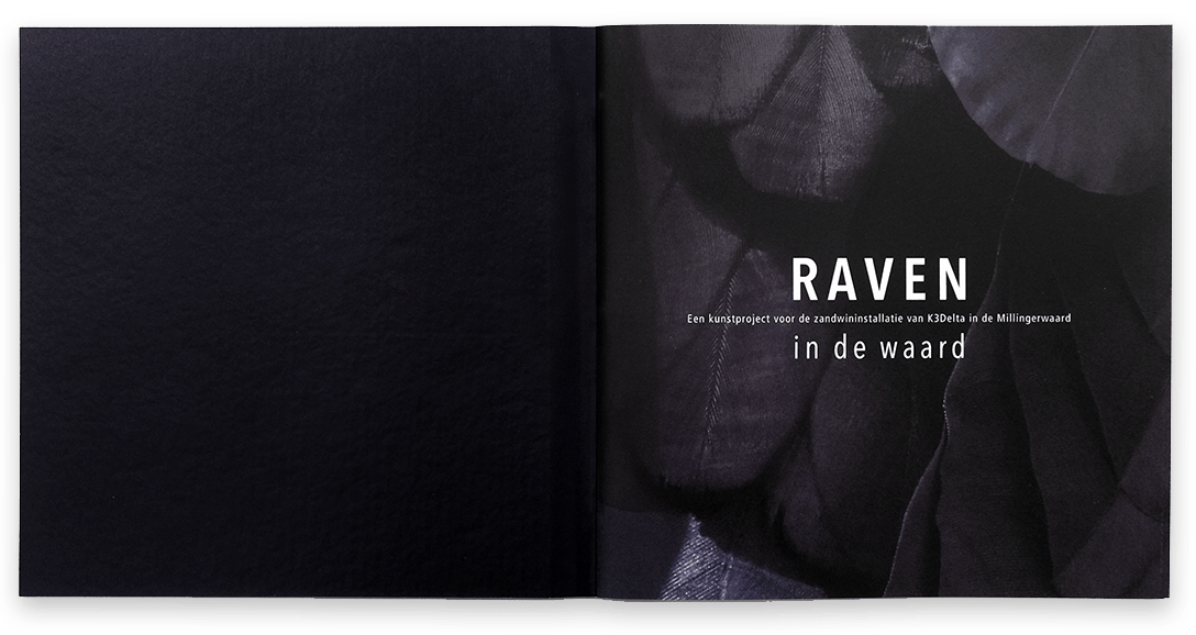 Raven in de Waard