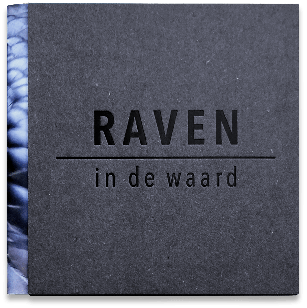 Raven in de Waard
